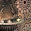 Riad Al Makan Fes & Spa