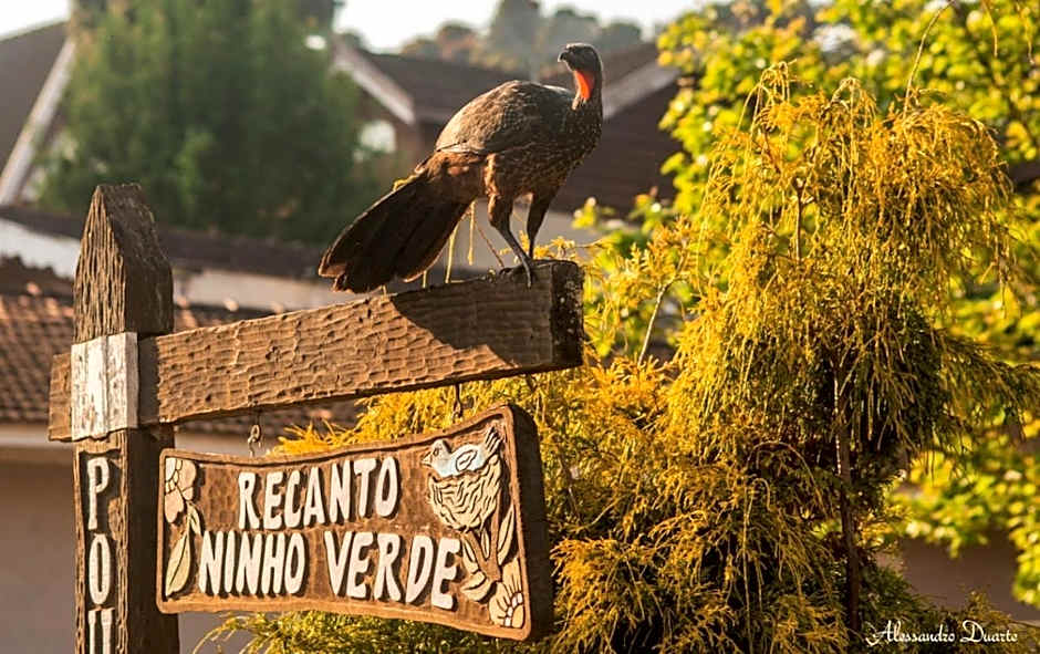 Pousada Recanto Ninho Verde Chalés