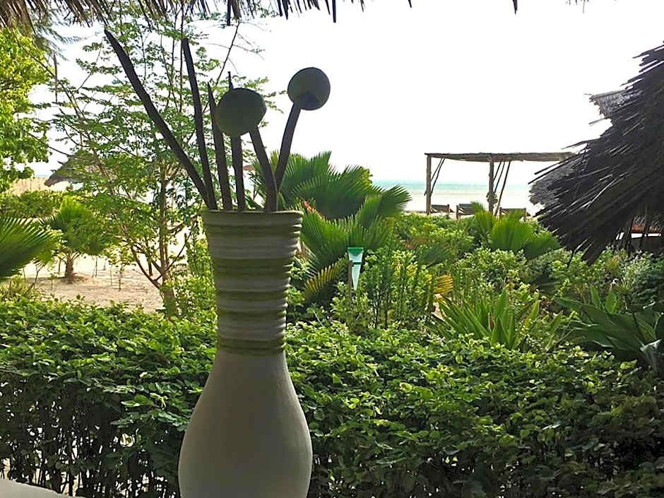 Driftwood Beach Lodge