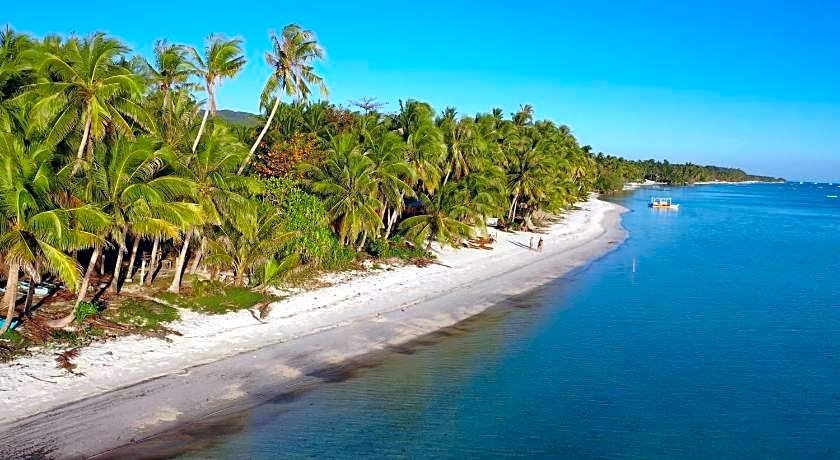 Apo Diver Beach Accomodation