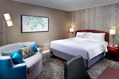 PURE Allergy Friendly, King Room with Sofa Bed