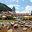 Hotel Monte Rosa