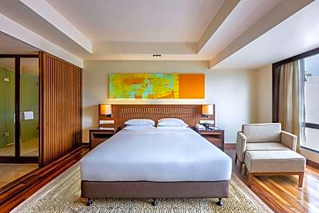 1 KING BED VIEW