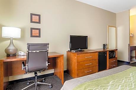 1 King Bed, Nonsmoking, Accessible
