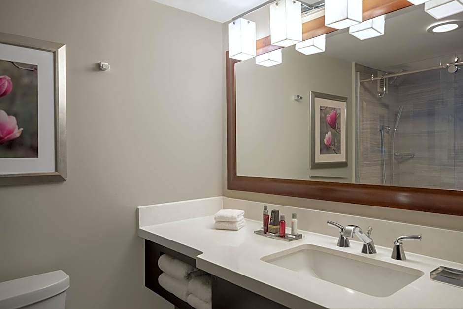 Atlanta Marriott Perimeter Center