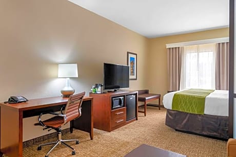 One Room Suite with Sofa bed - Non Smoking