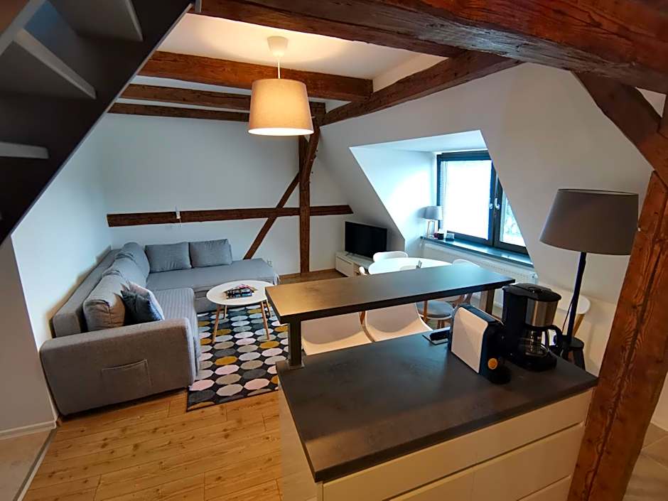 APARTMÁNY 91 Boží Dar