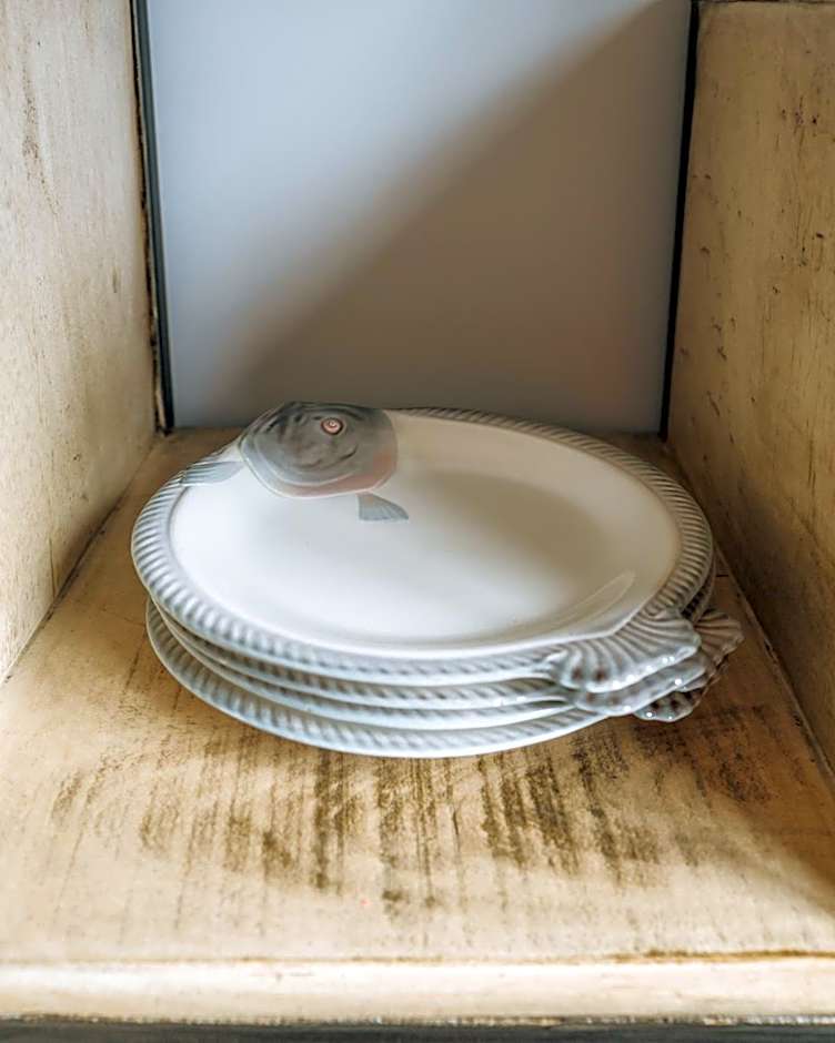 Strand Thema Vakantiewoning bij B&B Gezond aan Zee - Toegang Wellnesstuin meerprijs