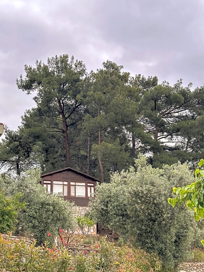 EPHESUS RETREAT