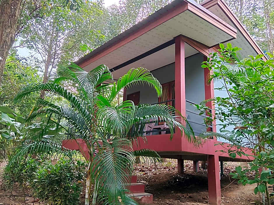Khao Sok River & Jungle Bungalow