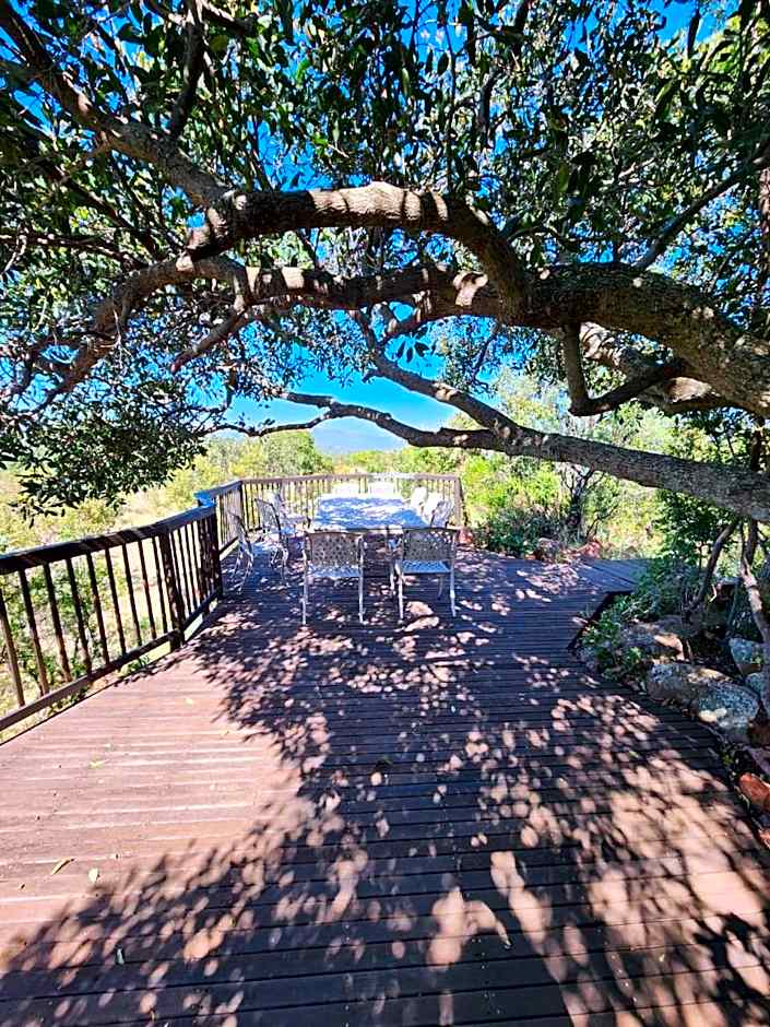 Milkwood Safari Lodge