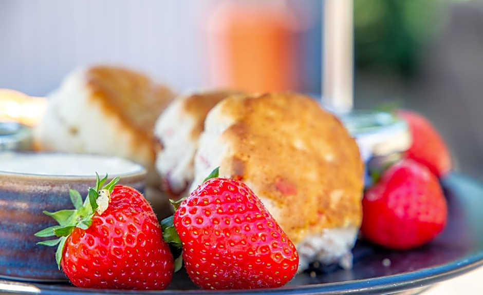 Elite Venue Selection Felbridge - Gatwick