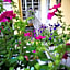 Corte delle Camelie Bed and Breakfast