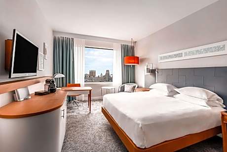 Executive King Suite