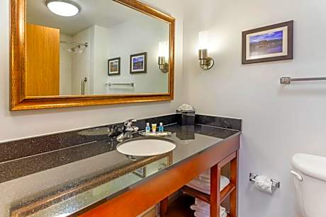 1 King Bed, Business Room, Suite, Nonsmoking, Accessible