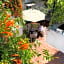 Casa Canario Hostel