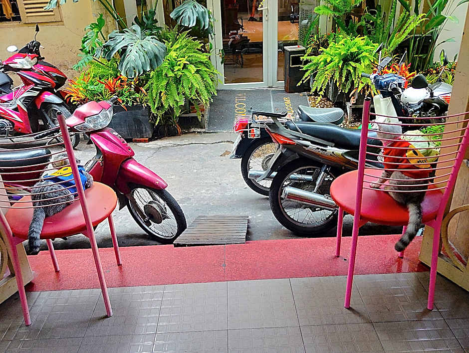 Sakura Hostel Saigon