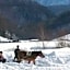 Shinshu Kaida Kogen Nishino Onsen Yamaka no Yu