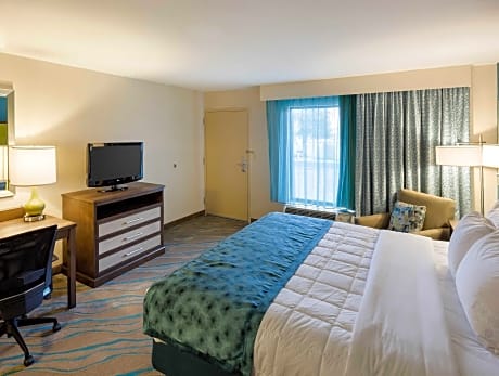 1 King Bed, Nonsmoking