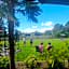 B&B Casa Roman & Vakantiewoning voor 1 pers tot max 32 personen