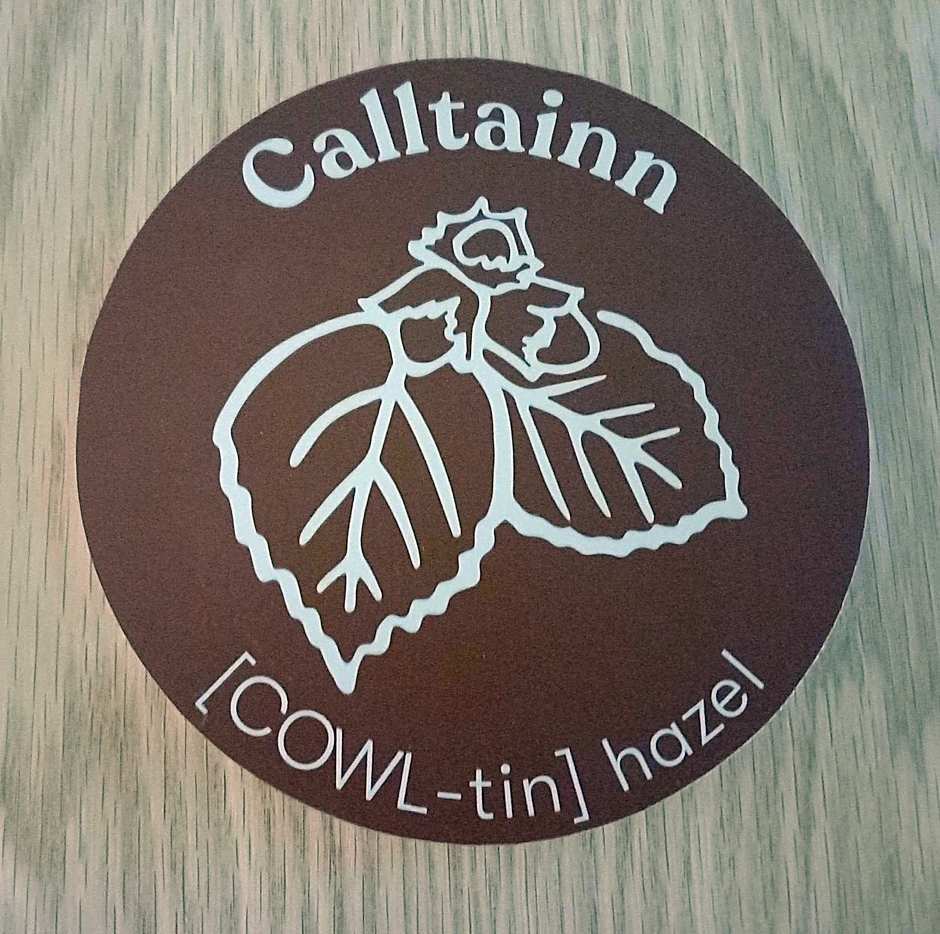 An Spiris Accommodation at Dundreggan Rewilding Centre