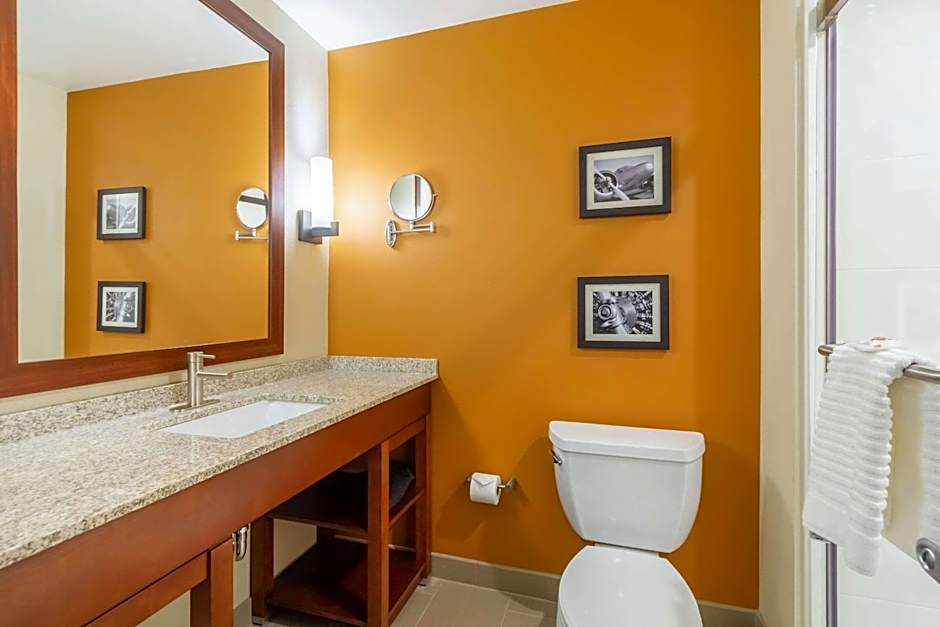 Comfort Inn & Suites - Harrisburg Airport - Hershey South