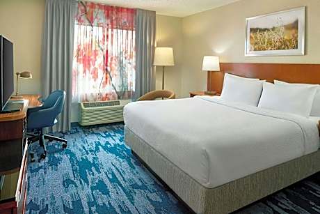 Room, 1 King Bed