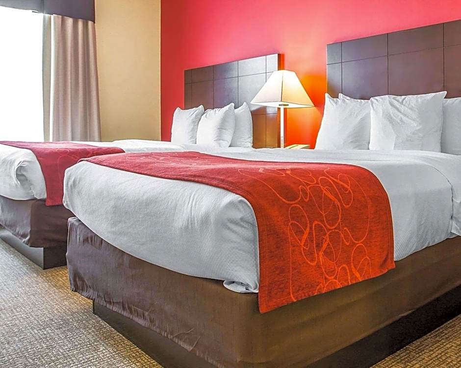 Comfort Suites Rock Hill Manchester Meadows Area