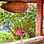 Hostel Trópico de Capricórnio - Tenório
