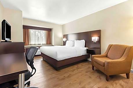 King Room with Roll-in Shower - Disability Access/Non-Smoking