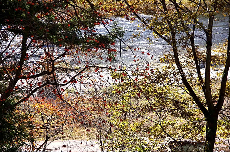 Gero Onsen Yukyunohana