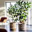The Lodge Billund
