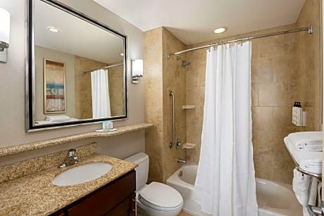 Studio Suite, 1 King Bed with Sofa bed (1 King Bed and 1 Double Sofa Bed)