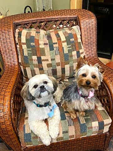 Bears Den Guest House