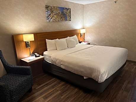 1 King Bed Nonsmoking