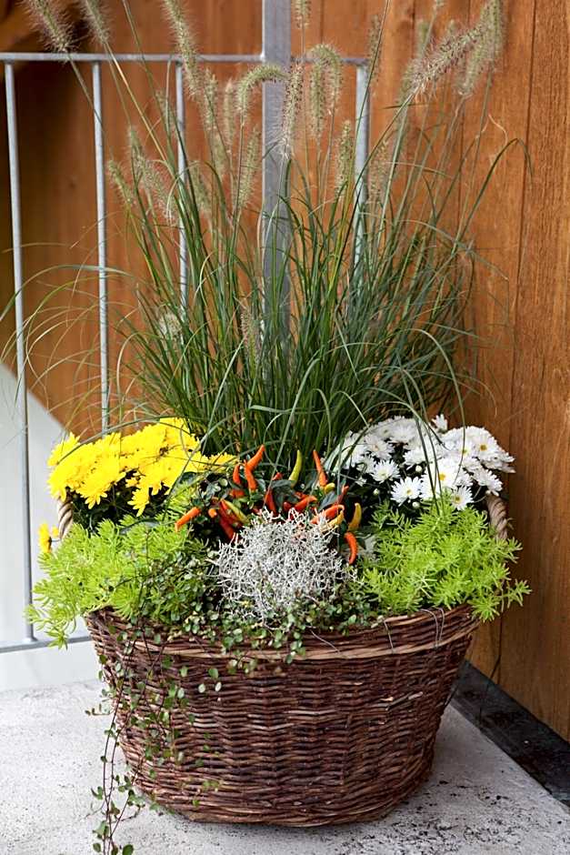 B&B Ferienhof am See