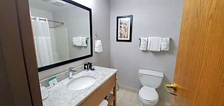 King Suite - Non-Smoking