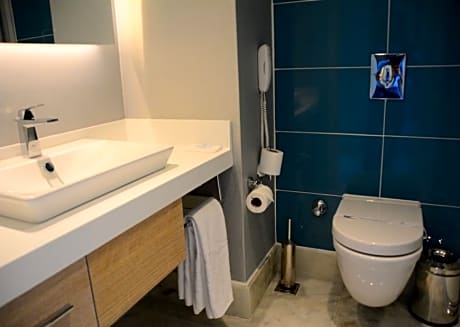 DOUBLE SINGLE USE DELUXE STANDARD