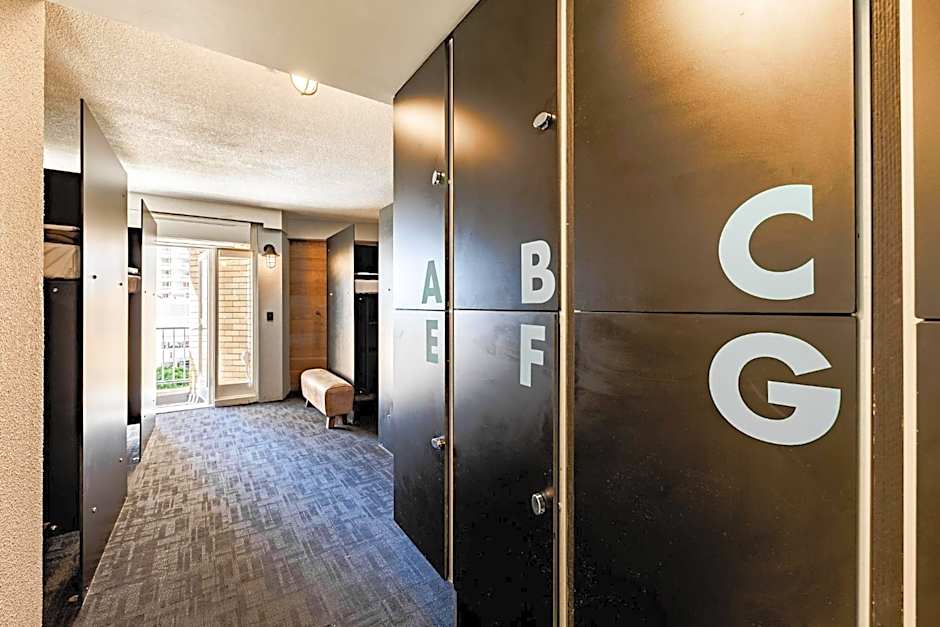 Bunk Surfers Paradise