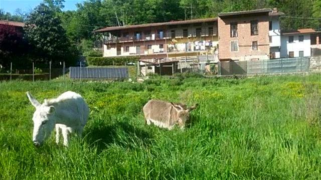 Bed & Breakfast Varionda