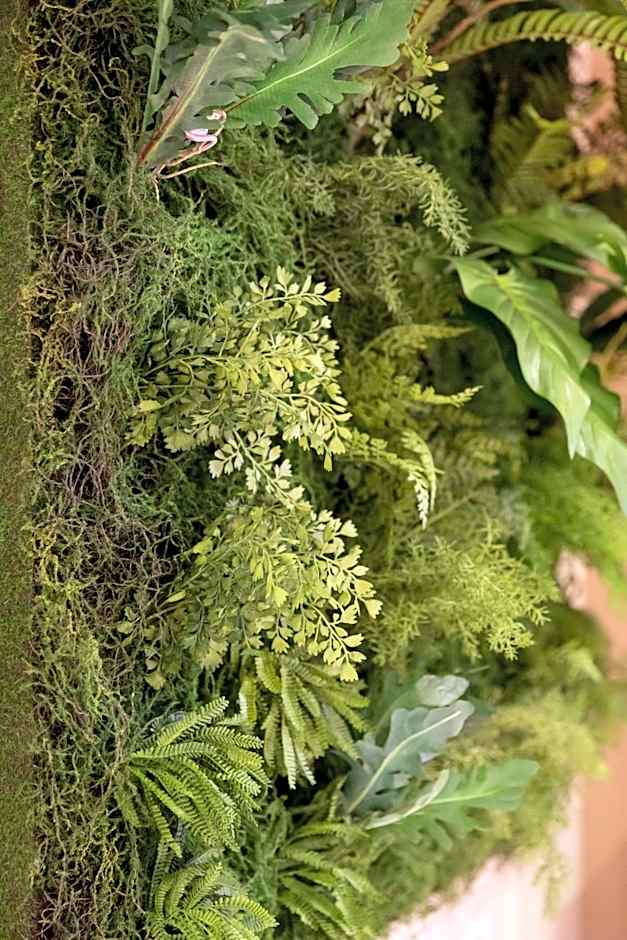 La Grenouille - Suite de luxe & Welness Privatif