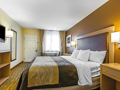 1 King Bed, Non-Smoking