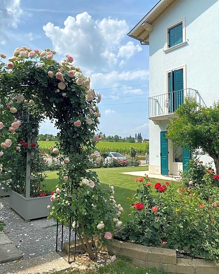 ROSETO HOLIDAYS AZZURRO