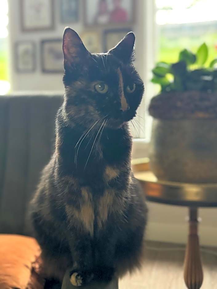 Bed & Breakfast Yerseke