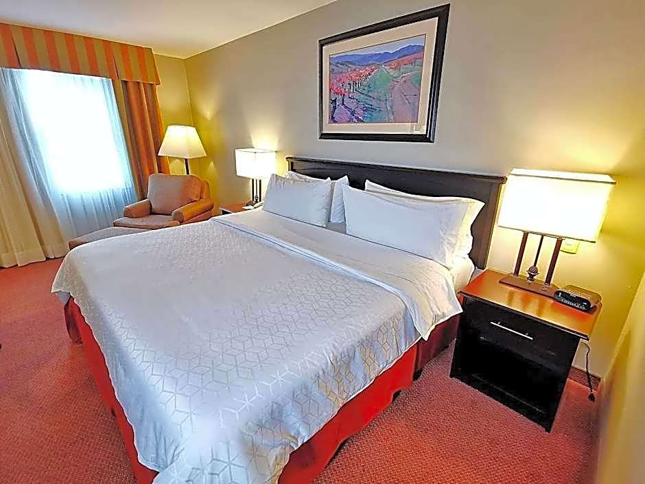Holiday Inn Reynosa Zona Dorada By IHG