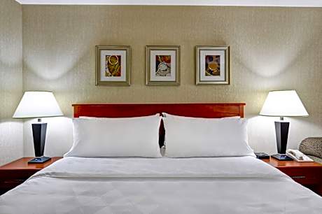 1 King Bed 1 Bedroom Suite