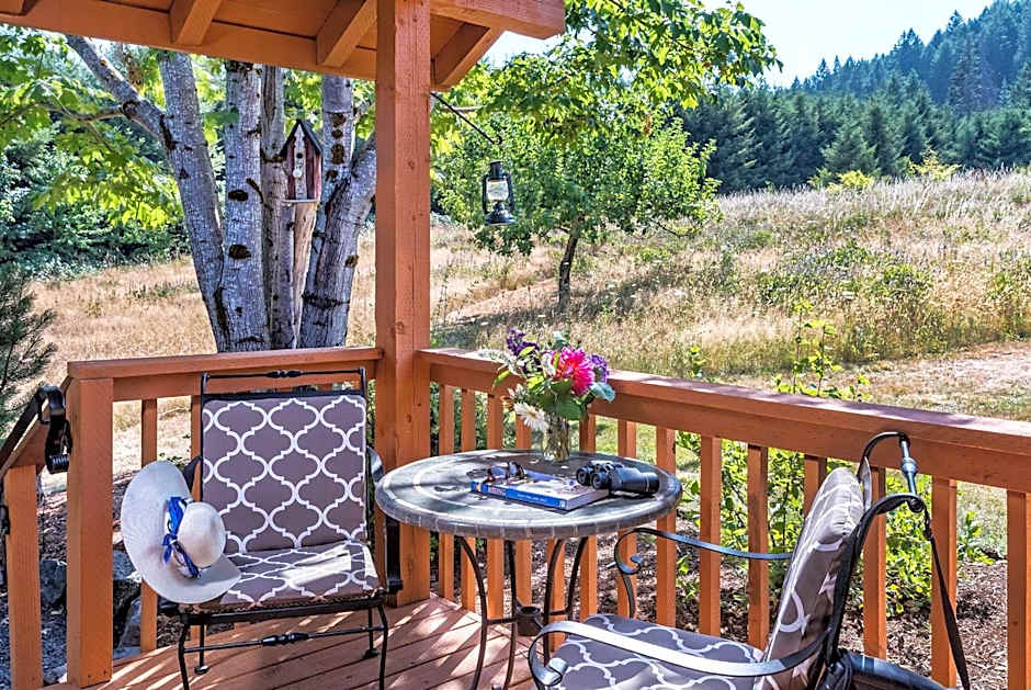 Carson Ridge Luxury Cabins