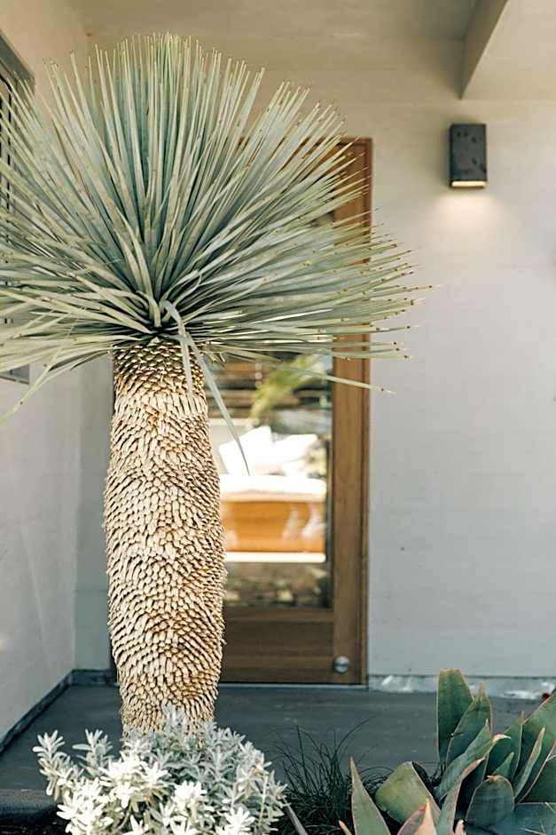 The Surfrider Malibu