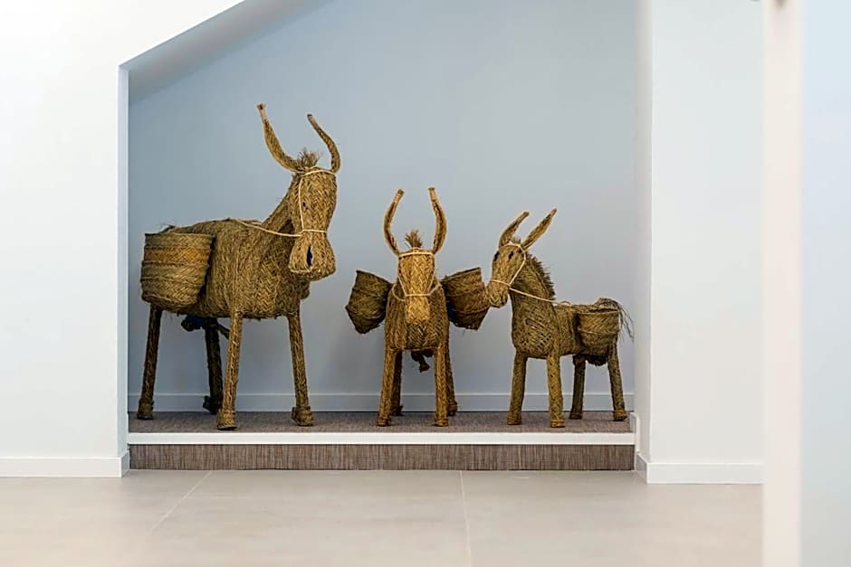 Hotel Palia Tropico Playa