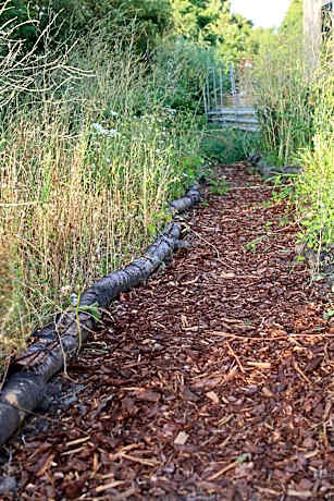 Superior Double or Twin Room with Garden View